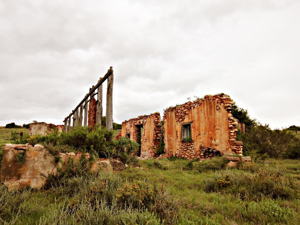 Hlosi Game Lodge - Amakhala Game Reserve Buyskloof Bagian luar foto