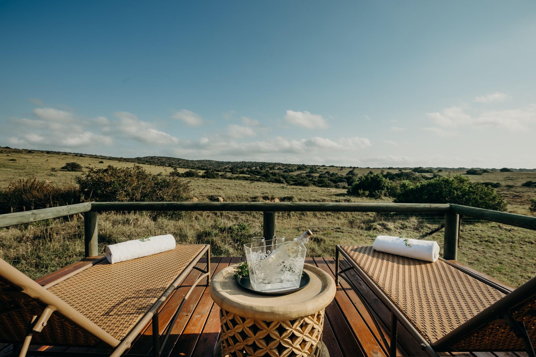 Hlosi Game Lodge - Amakhala Game Reserve Buyskloof Bagian luar foto