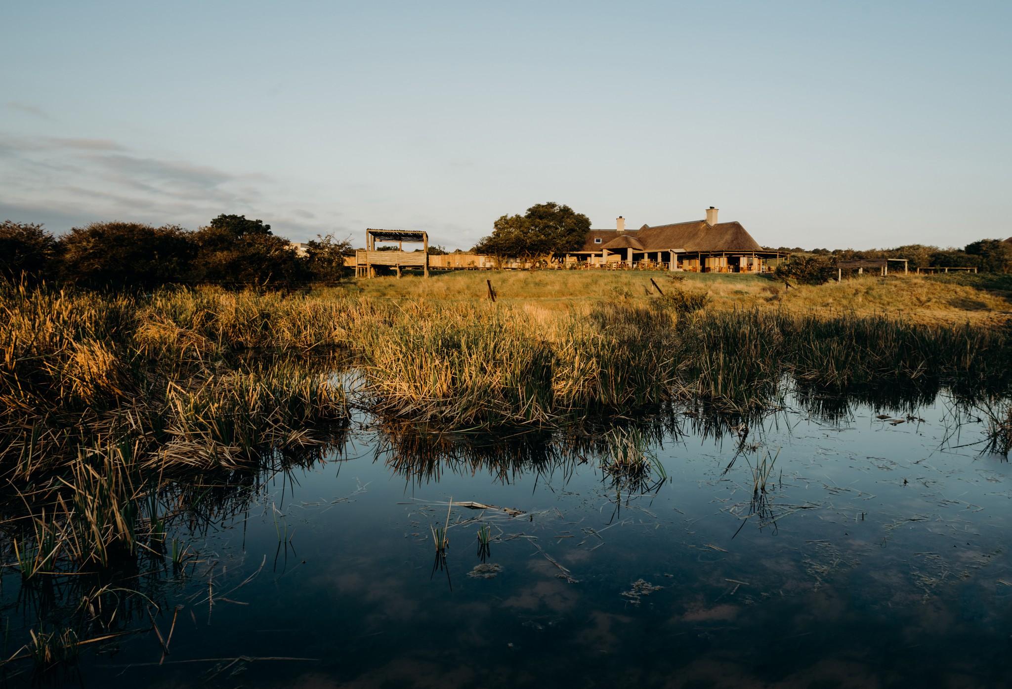 Hlosi Game Lodge - Amakhala Game Reserve Buyskloof Bagian luar foto