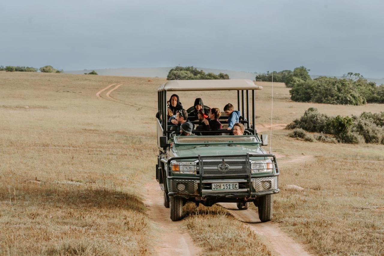 Hlosi Game Lodge - Amakhala Game Reserve Buyskloof Bagian luar foto