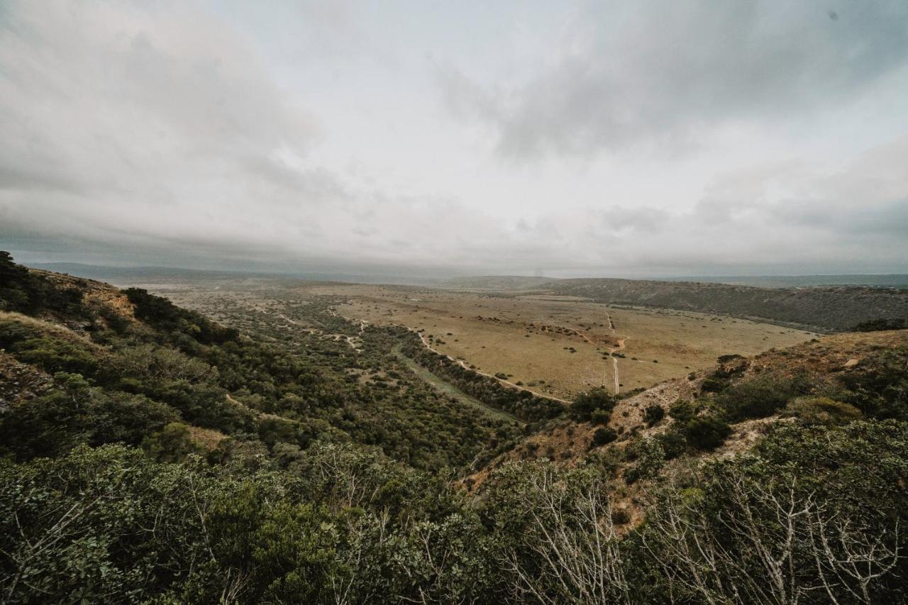 Hlosi Game Lodge - Amakhala Game Reserve Buyskloof Bagian luar foto