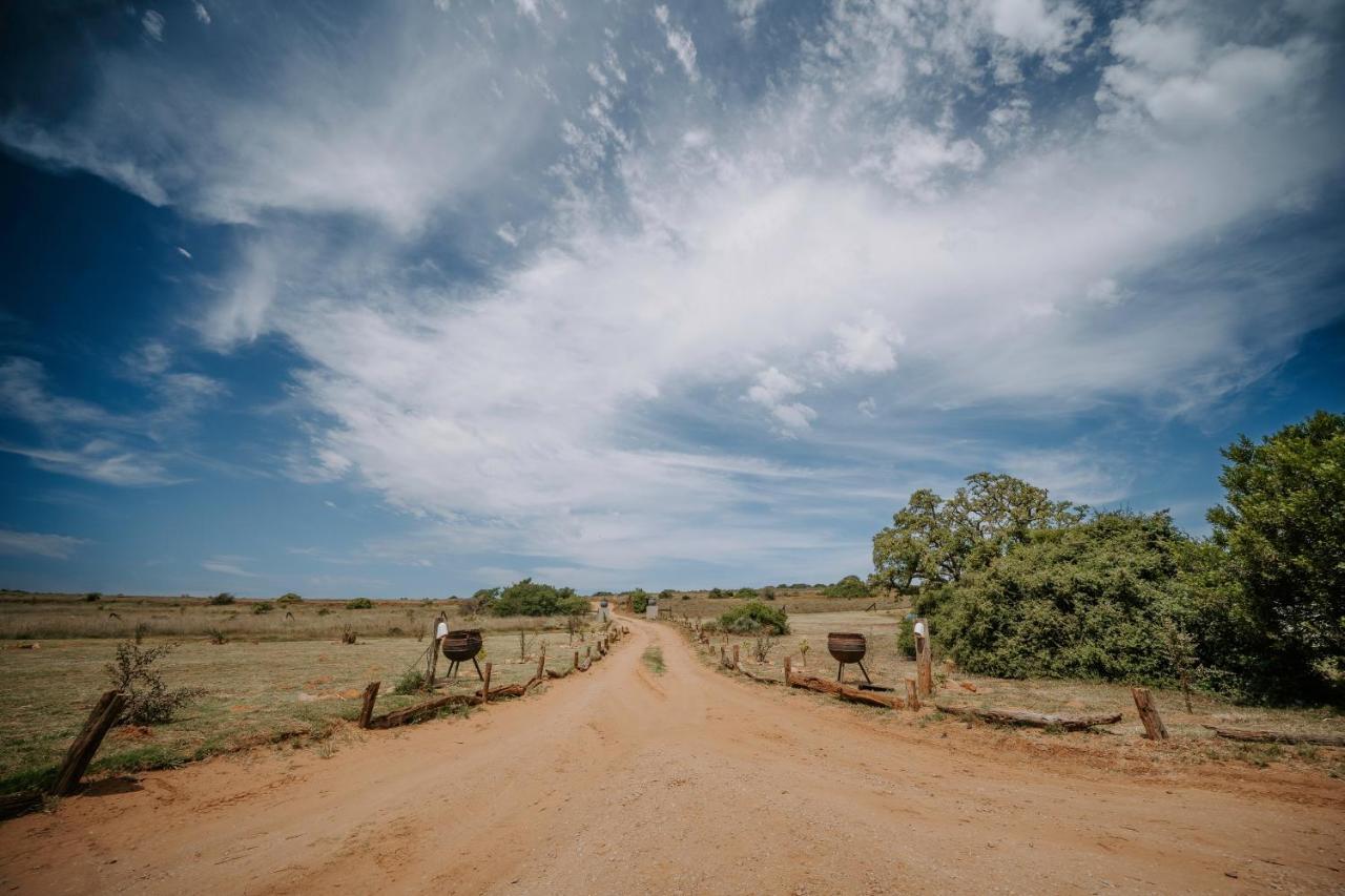 Hlosi Game Lodge - Amakhala Game Reserve Buyskloof Bagian luar foto