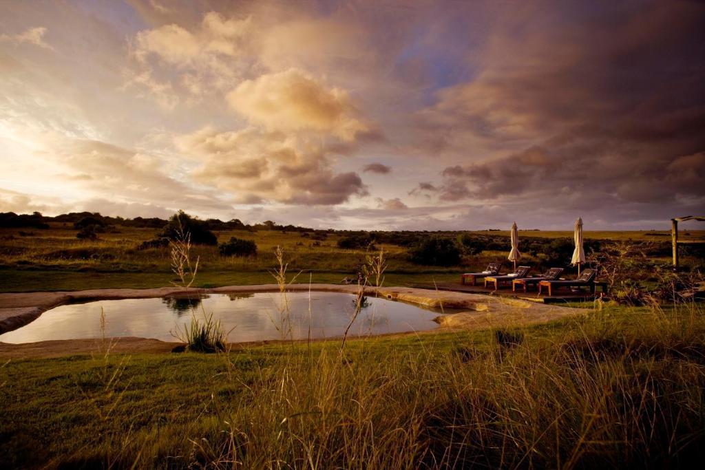 Hlosi Game Lodge - Amakhala Game Reserve Buyskloof Bagian luar foto