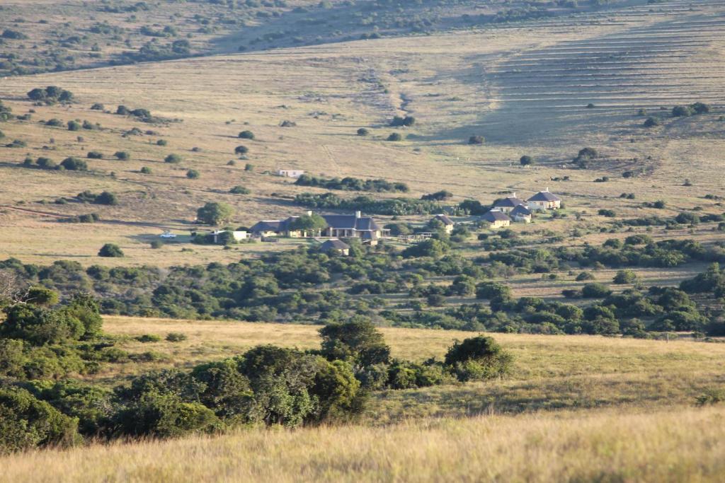 Hlosi Game Lodge - Amakhala Game Reserve Buyskloof Bagian luar foto